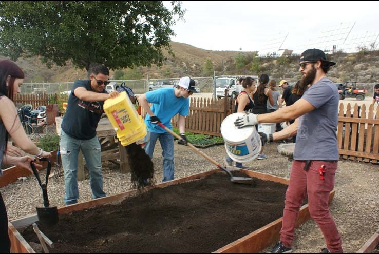 How the Crafton Community Garden Grows