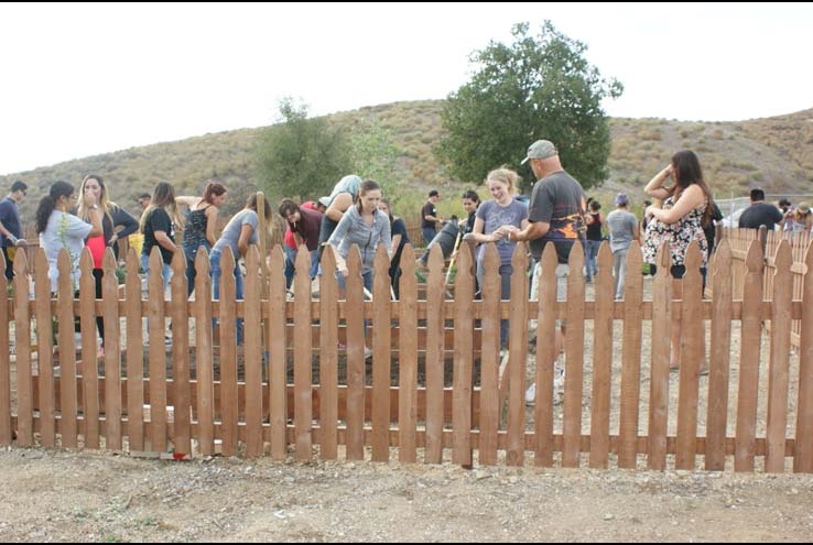 How the Crafton Community Garden Grows