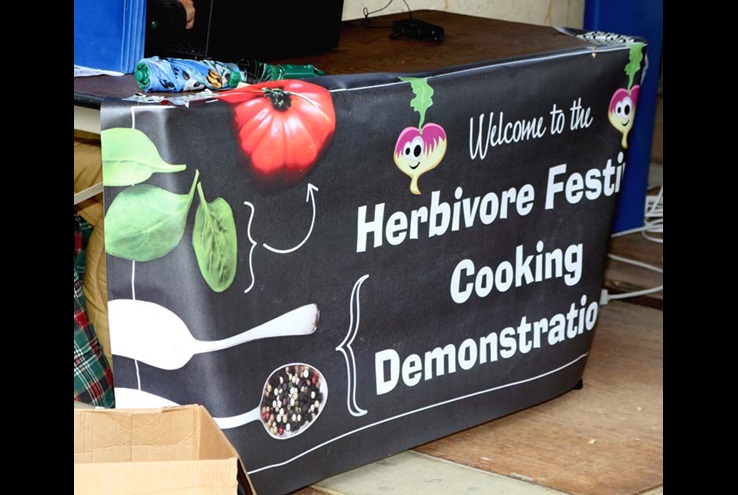 Herbivore Festival