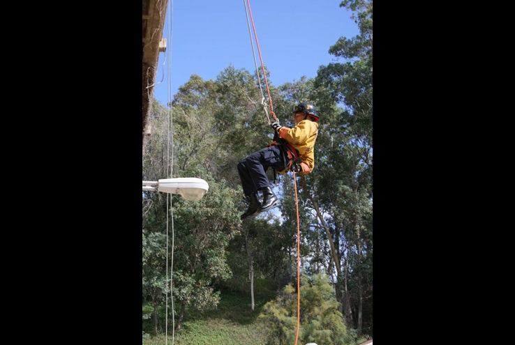 Ropes and Ladders