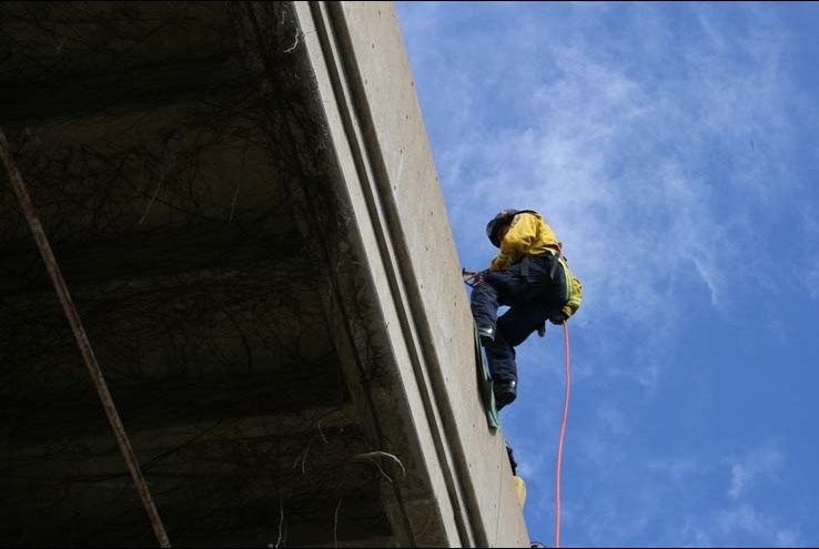 Ropes and Ladders