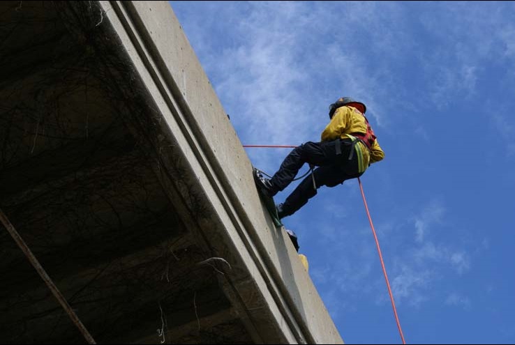 Ropes and Ladders