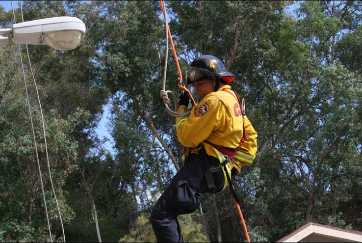 Ropes and Ladders