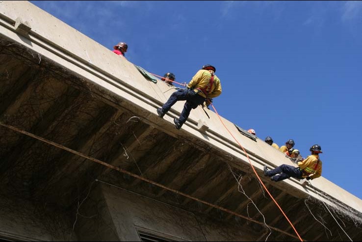 Ropes and Ladders