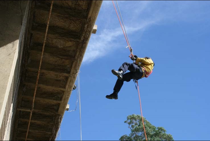 Ropes and Ladders