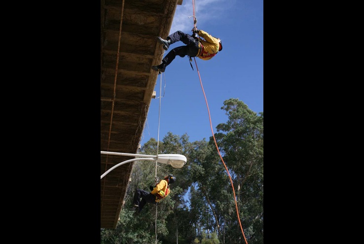 Ropes and Ladders