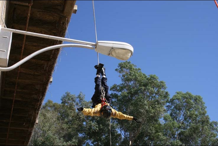 Ropes and Ladders