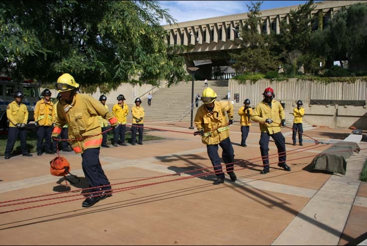 Ropes and Ladders