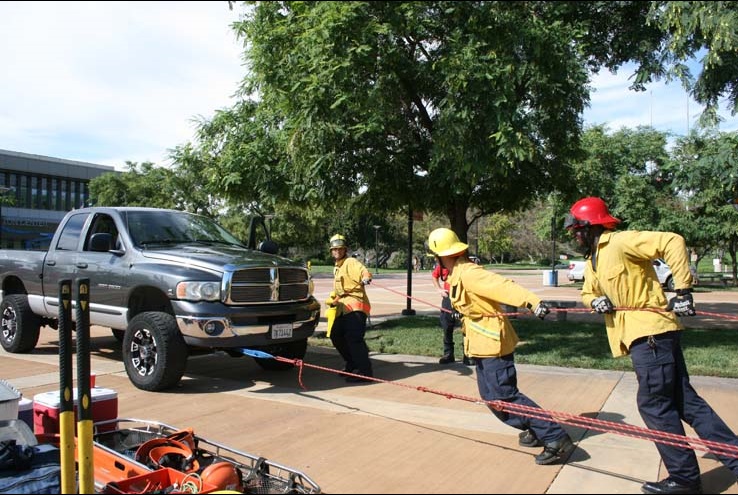 Ropes and Ladders