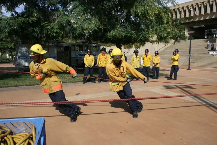 Ropes and Ladders