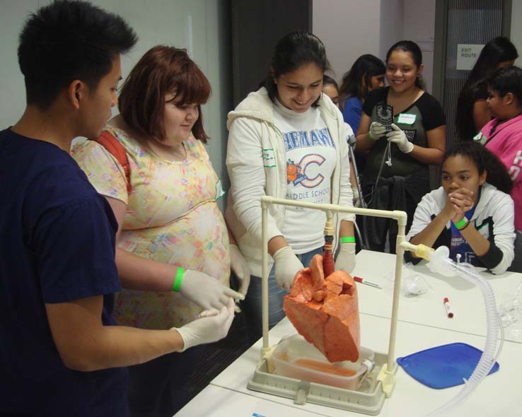 Ambulance and people at Allied Health and Medical Careers day