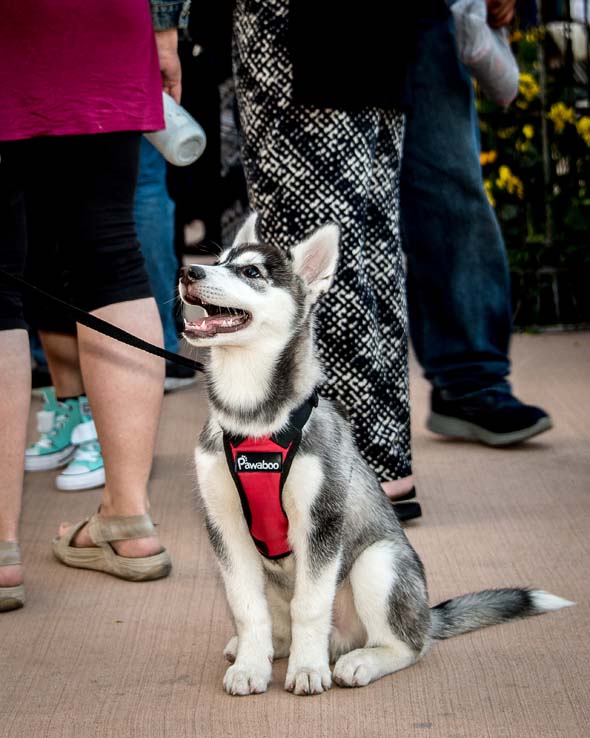 Students enjoying commencement