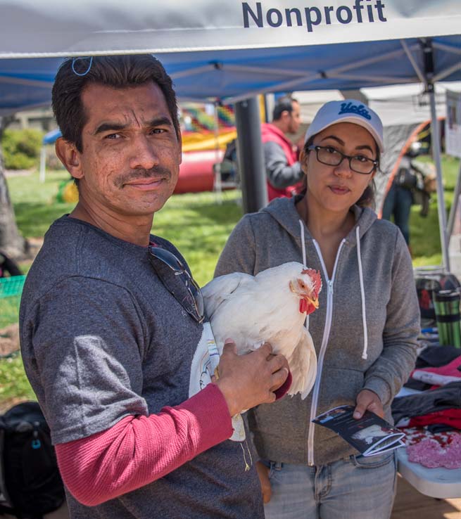 Attendees at the Herbivore Festival