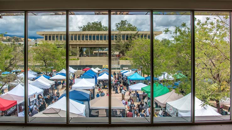 Attendees at the Herbivore Festival