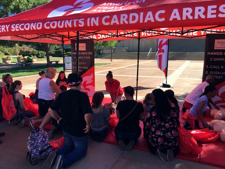 People practicing CPR