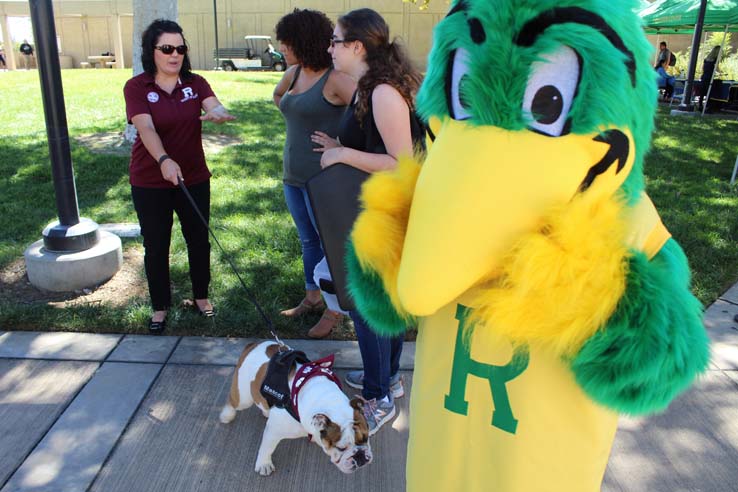 Ryker's birthday party and Spirit Day