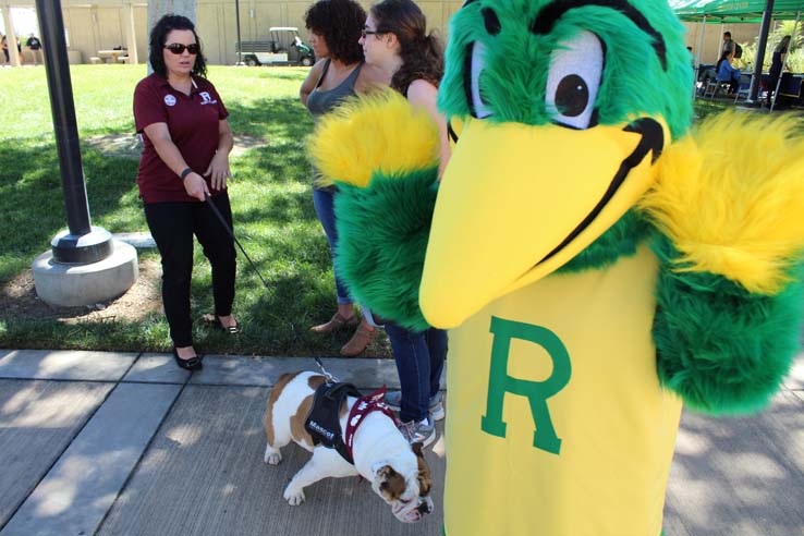 Ryker's birthday party and Spirit Day