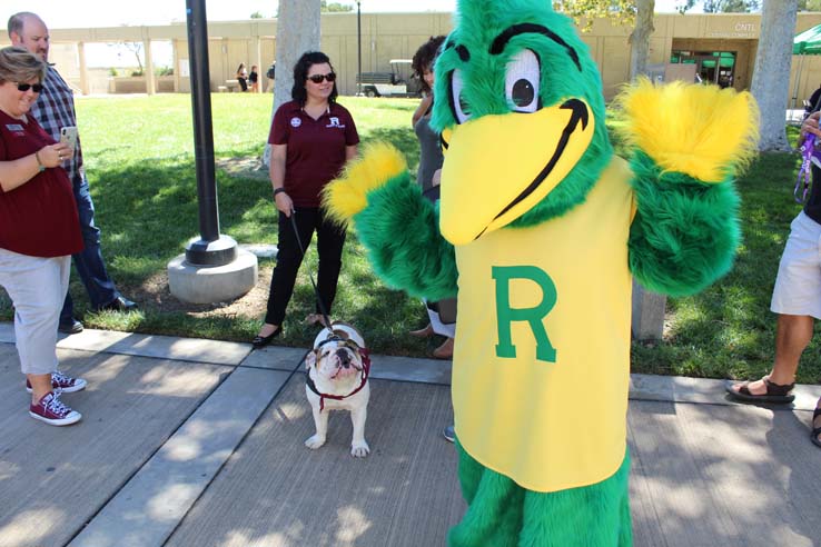 Ryker's birthday party and Spirit Day