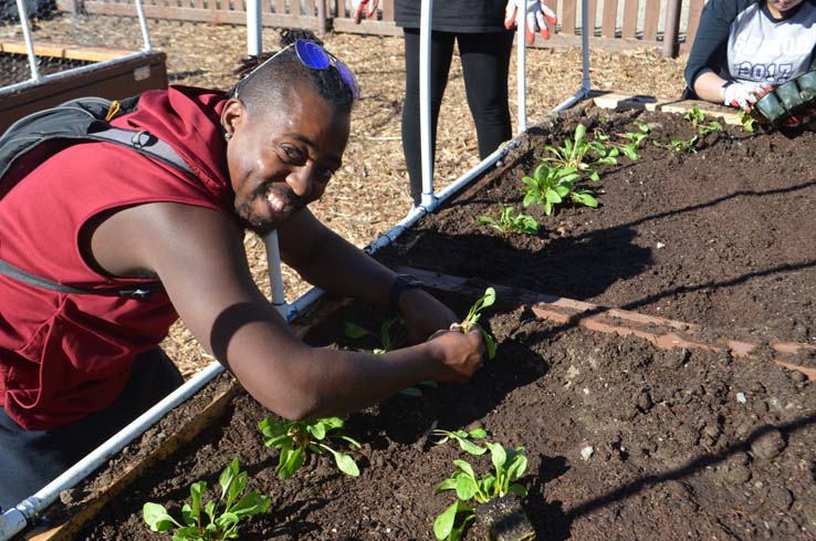 People working in the community garden