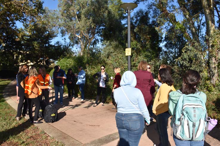 People participating in Great Shakeout