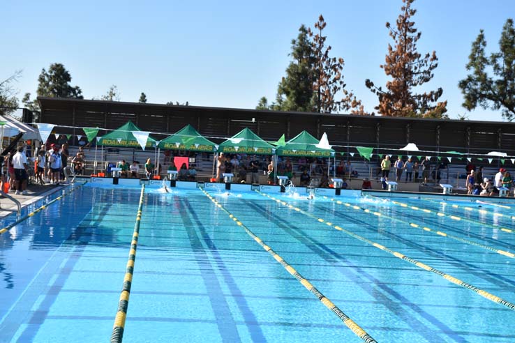 People at the Paralympic Meet.