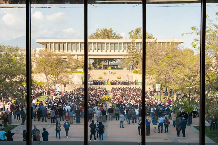 People enjoying Commencement