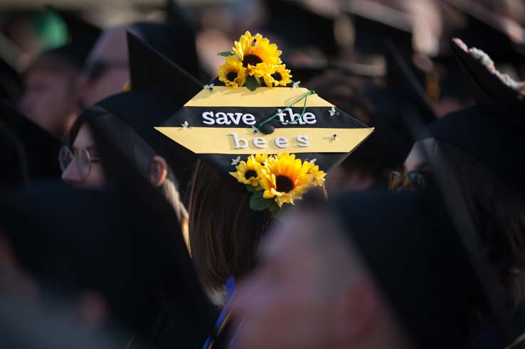 People enjoying Commencement