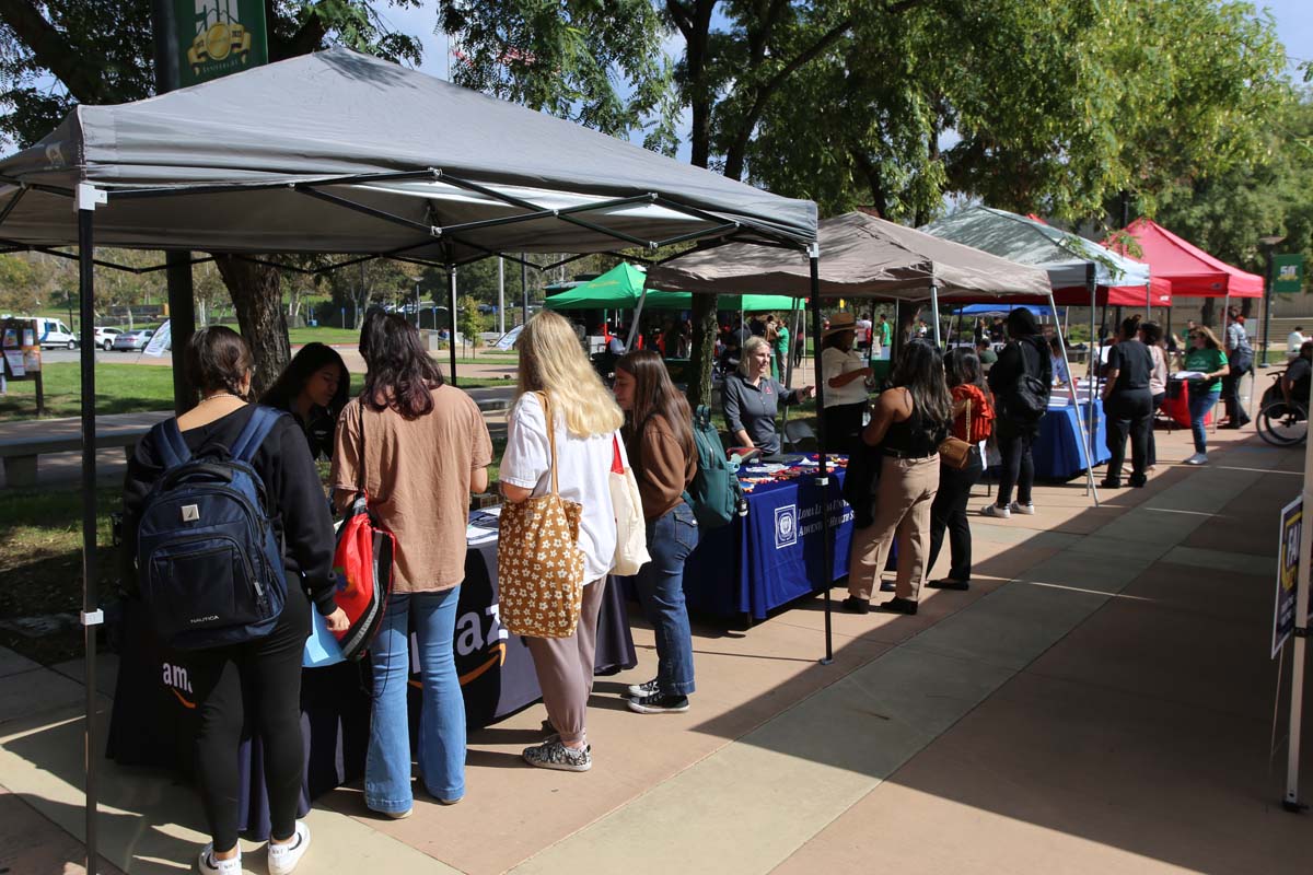 People at the Career Fair