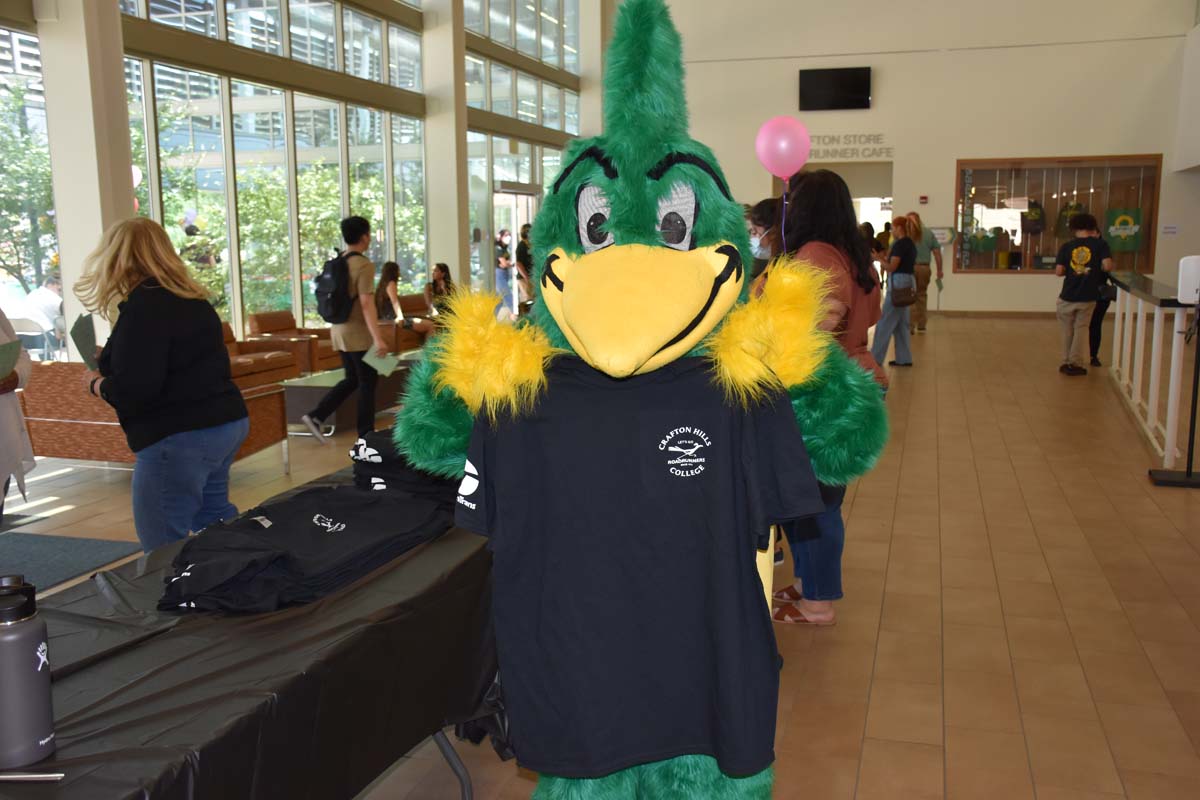 People enjoying the Roadrunner Rally