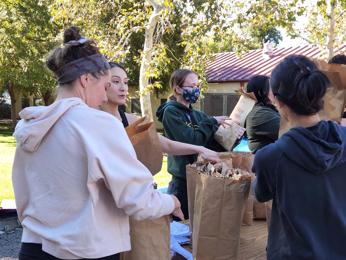 People at the food drive