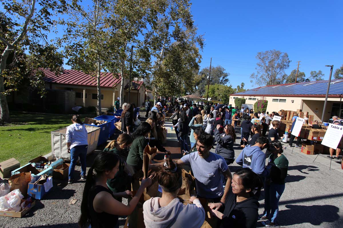 People at the food drive