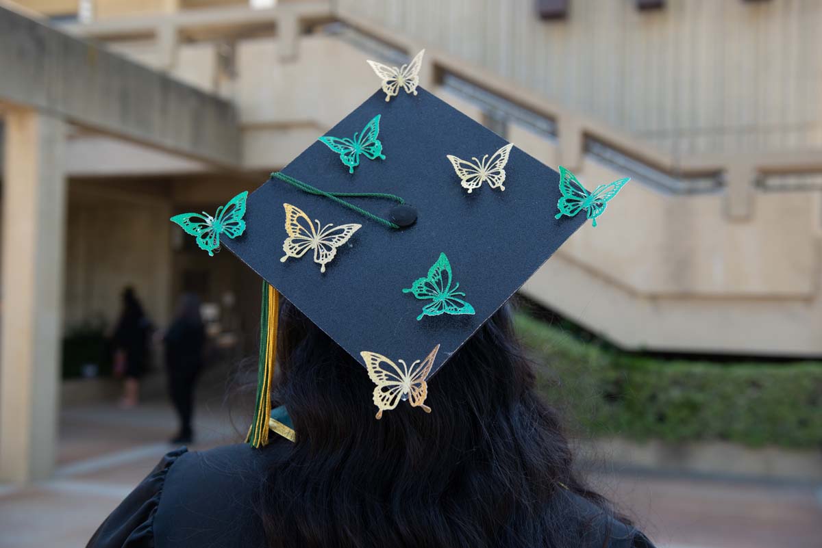 People enjoying Commencement