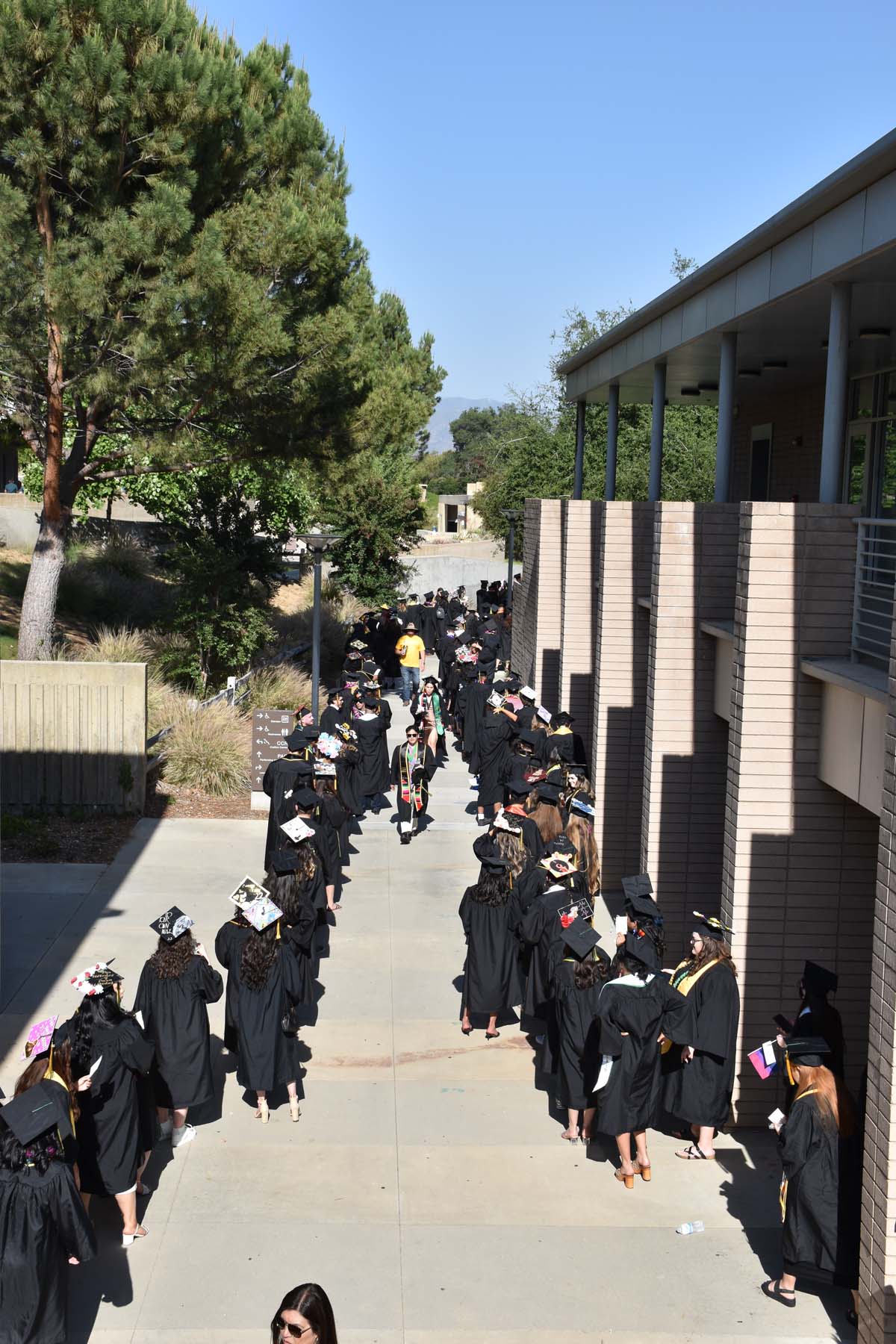 People enjoying Commencement