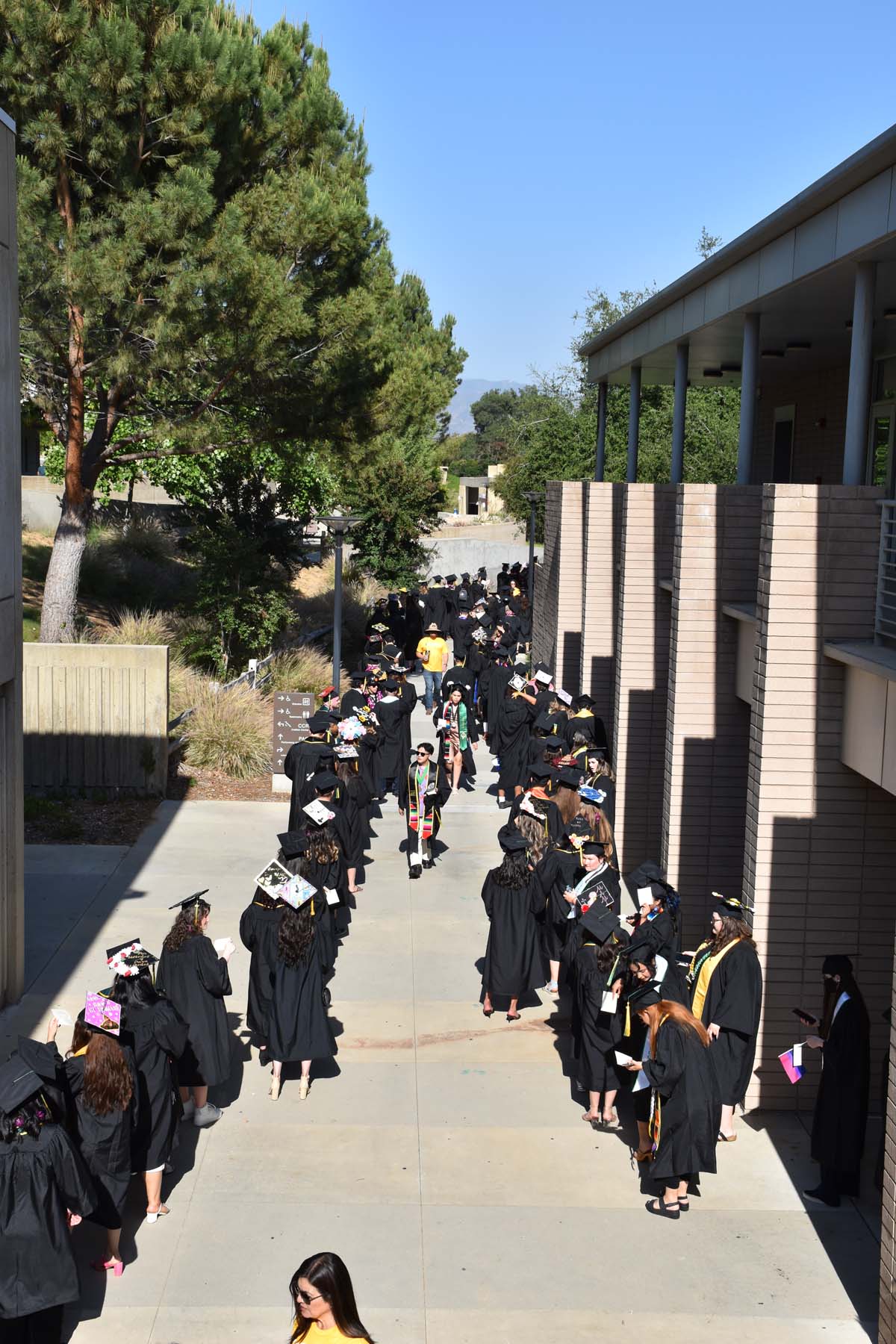 People enjoying Commencement