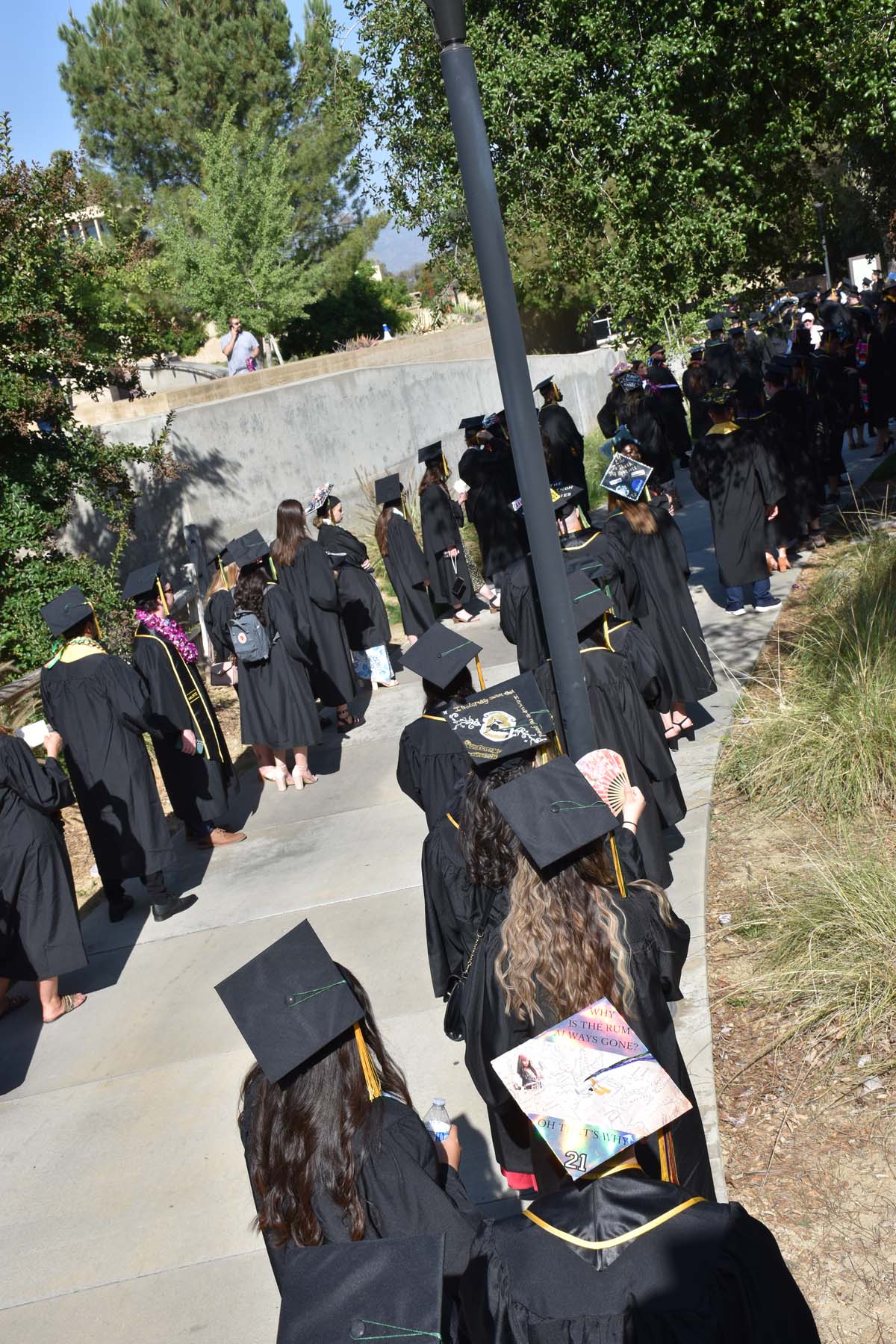 People enjoying Commencement