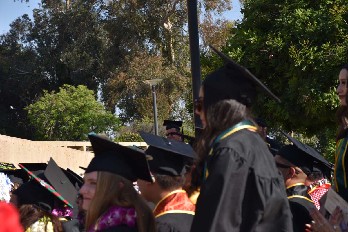 People enjoying Commencement