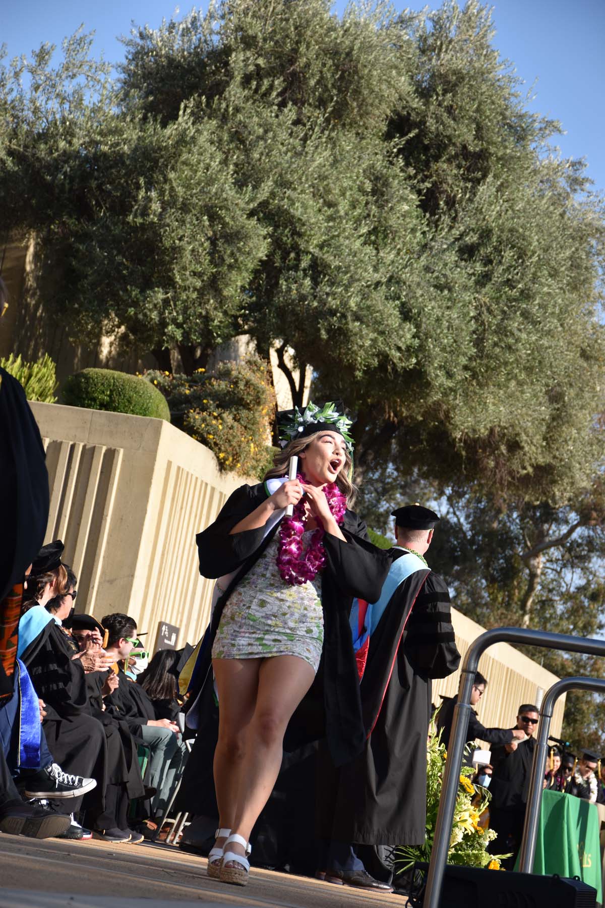 People enjoying Commencement