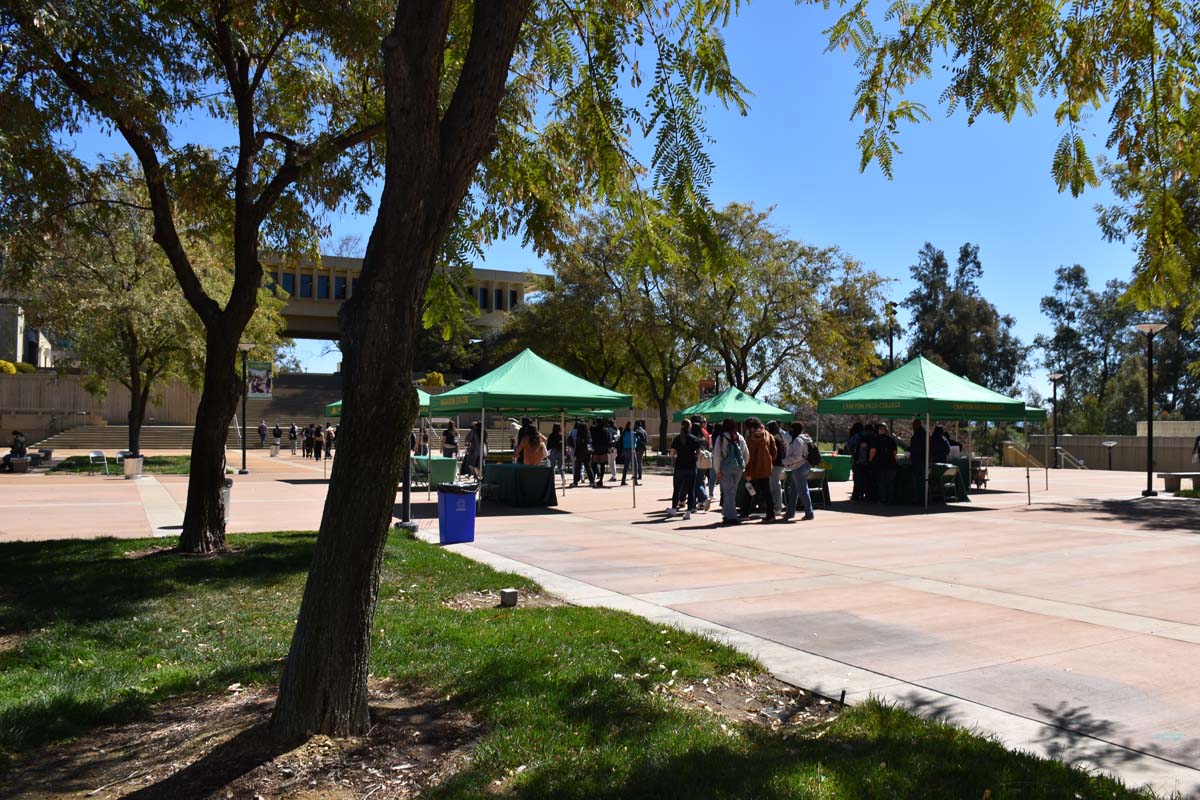 People enjoying Senior Day