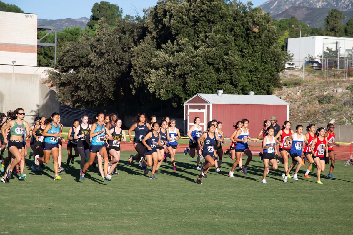 Cross country team