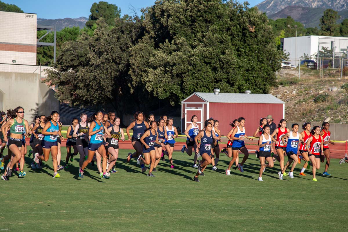 Cross country team