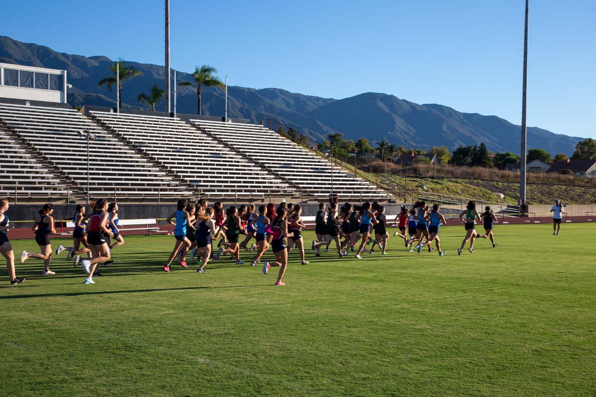 Cross country team