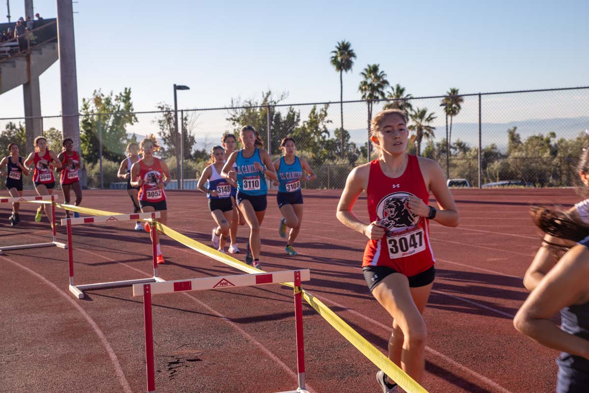 Cross country team