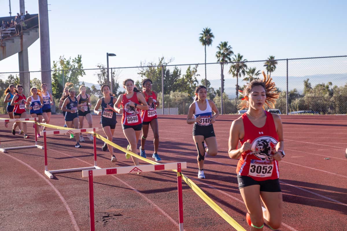 Cross country team