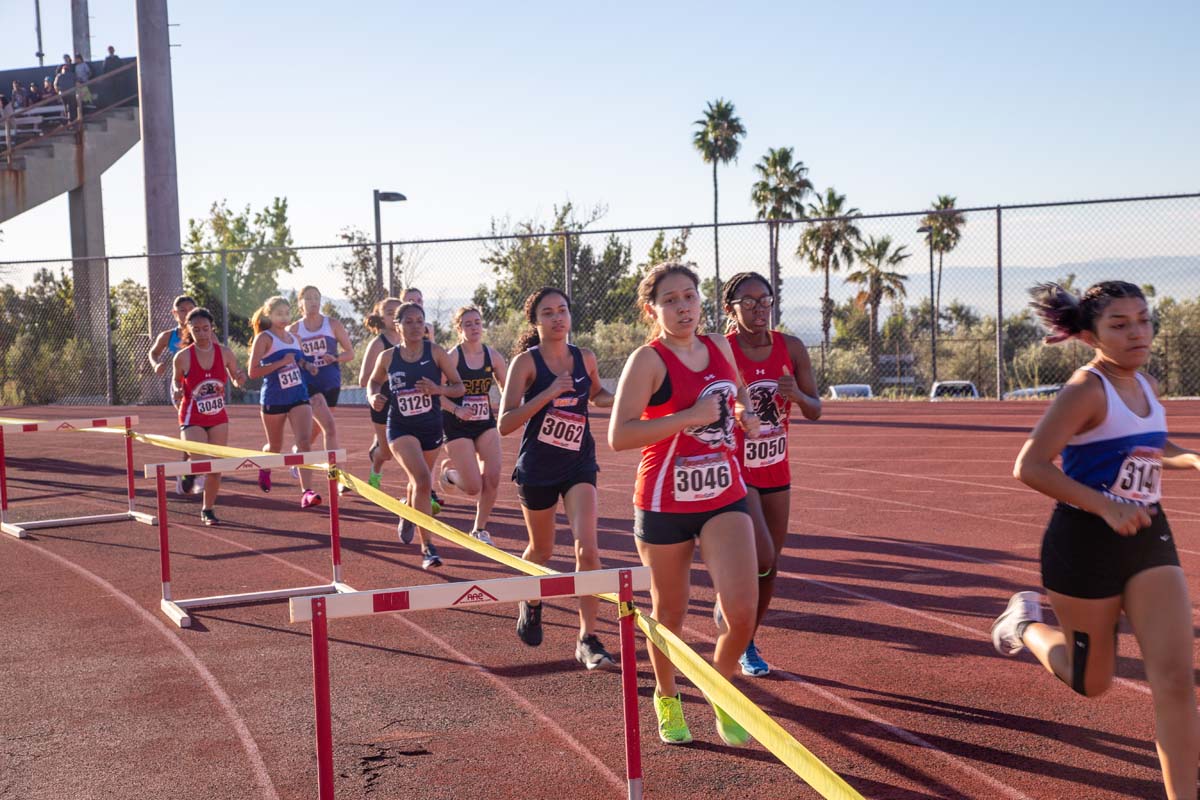 Cross country team