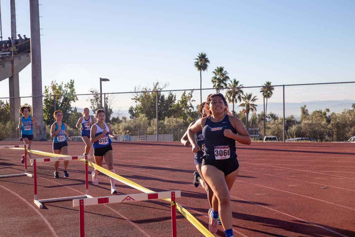 Cross country team