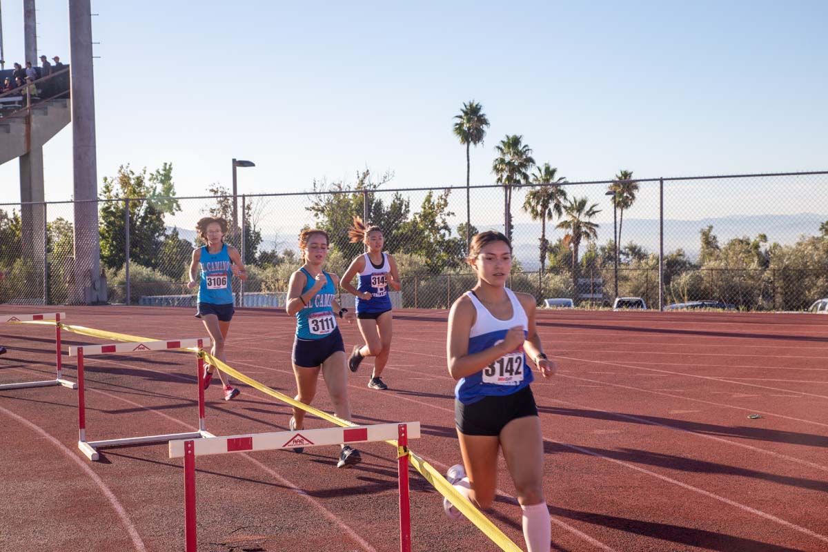 Cross country team