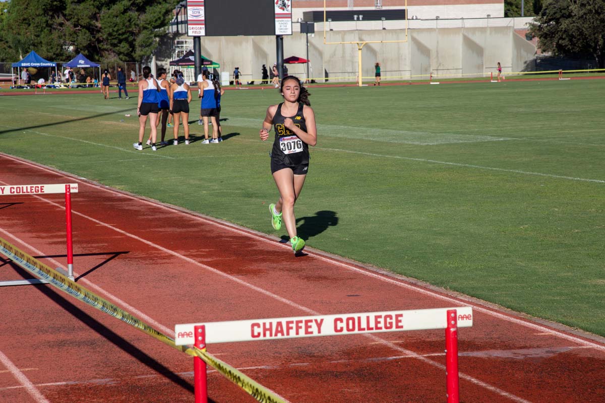 Cross country team