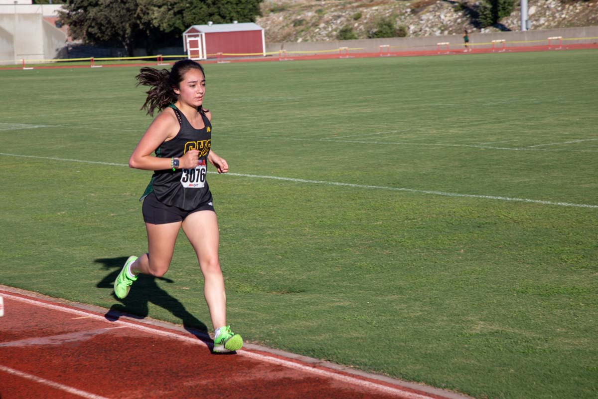 Cross country team