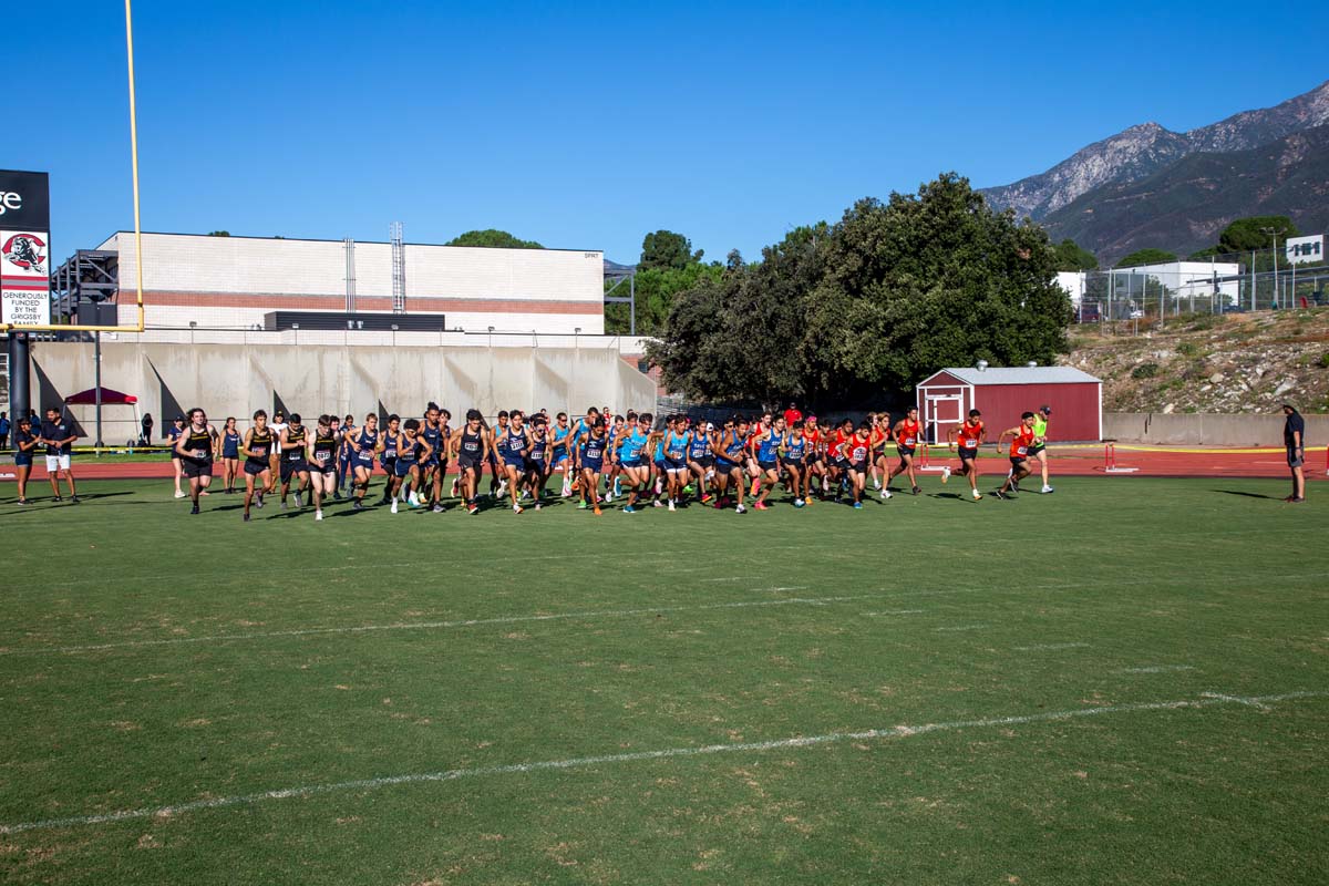 Cross country team