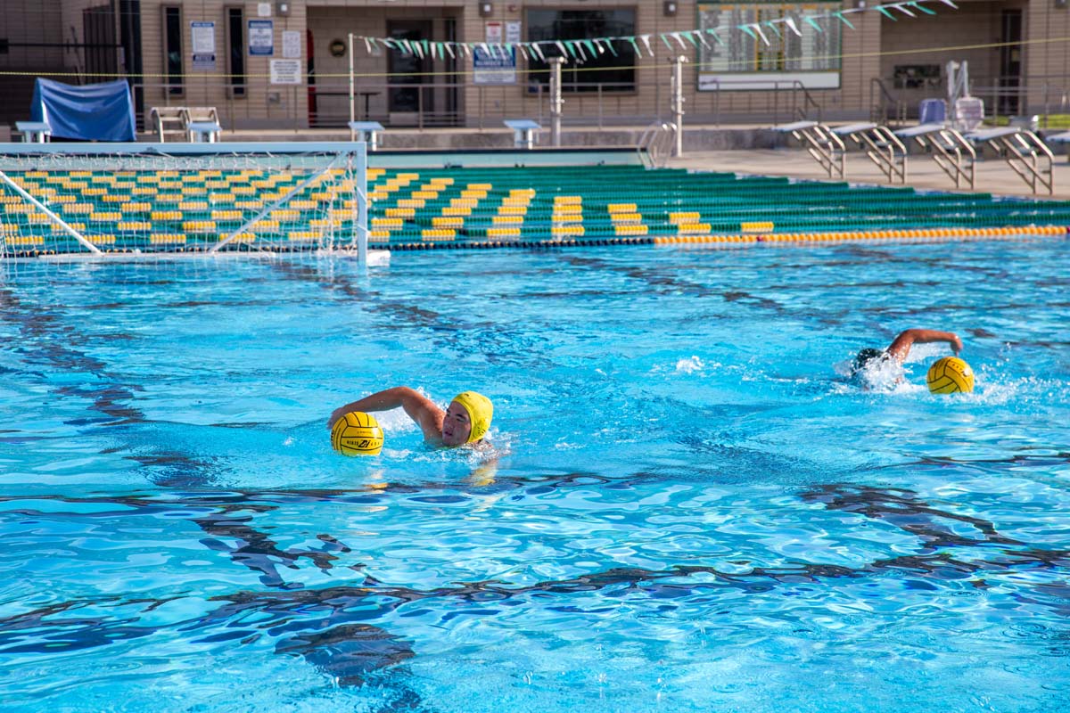 Men's water polo team